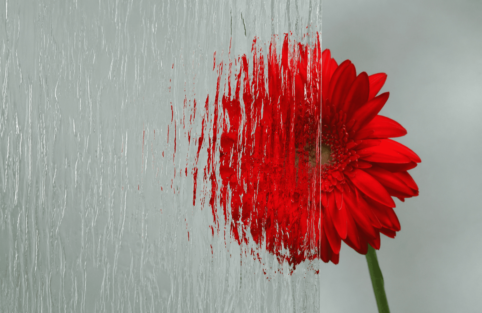 Detailweergave van Silvit glas